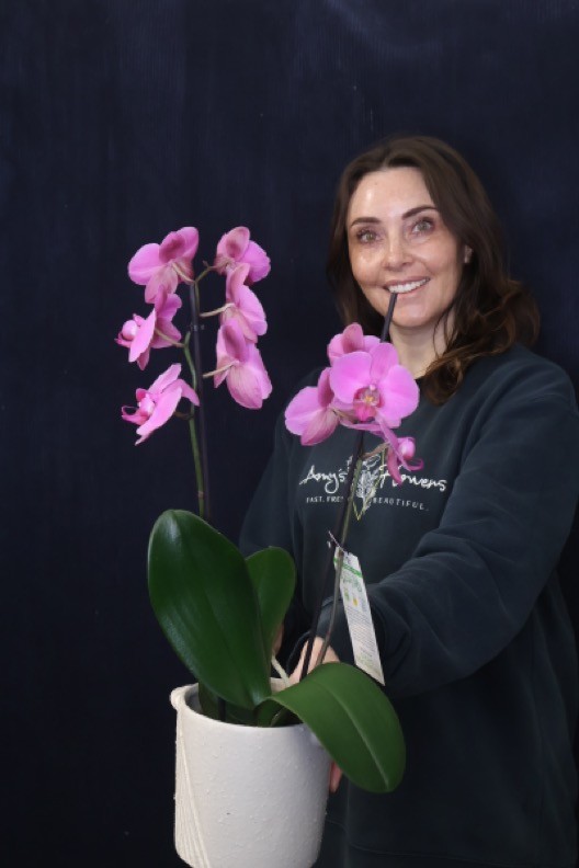 Real Plant | Mini Phale Orchid order made by Amy's Flowers
