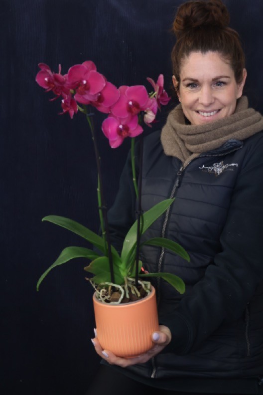 Real Plant | Mini Phale Orchid order made by Amy's Flowers
