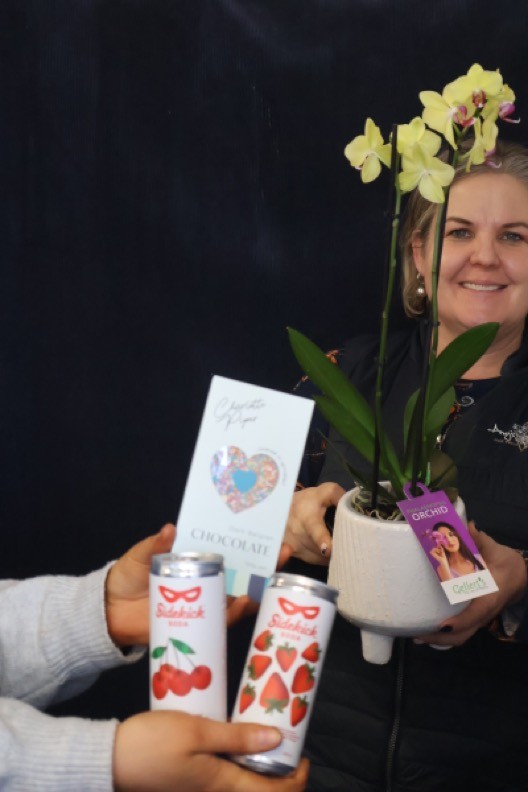 Real Plant | Mini Phale Orchid order made by Amy's Flowers