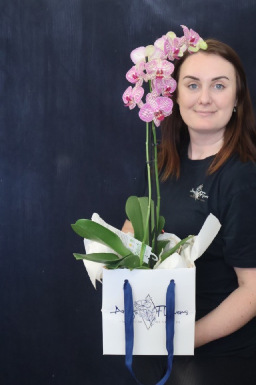 Real Plant | Mini Phale Orchid order made by Amy's Flowers