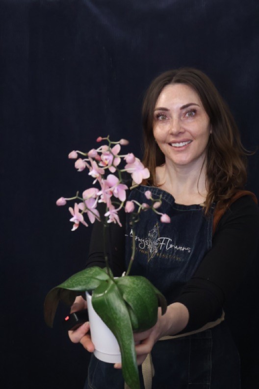 Real Plant | Mini Phale Orchid order made by Amy's Flowers