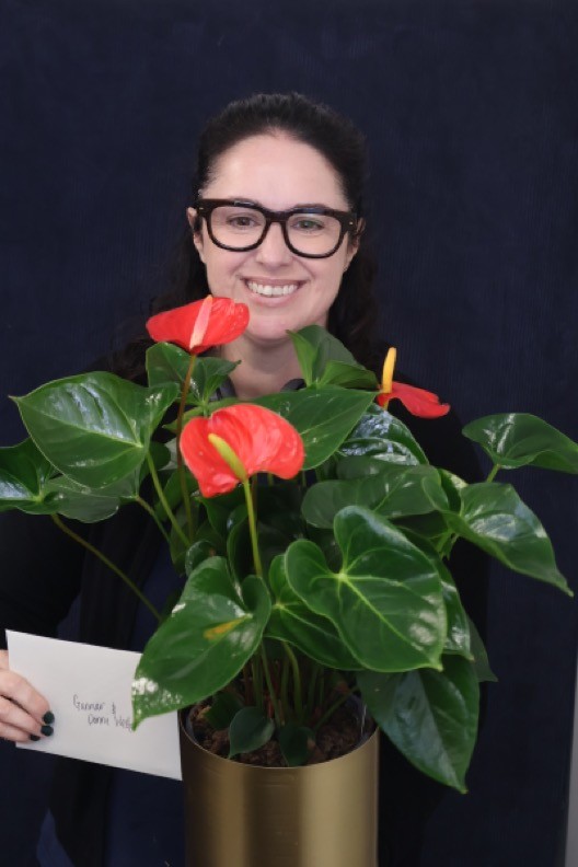 Real Plant | Anthurium Large order made by Amy's Flowers