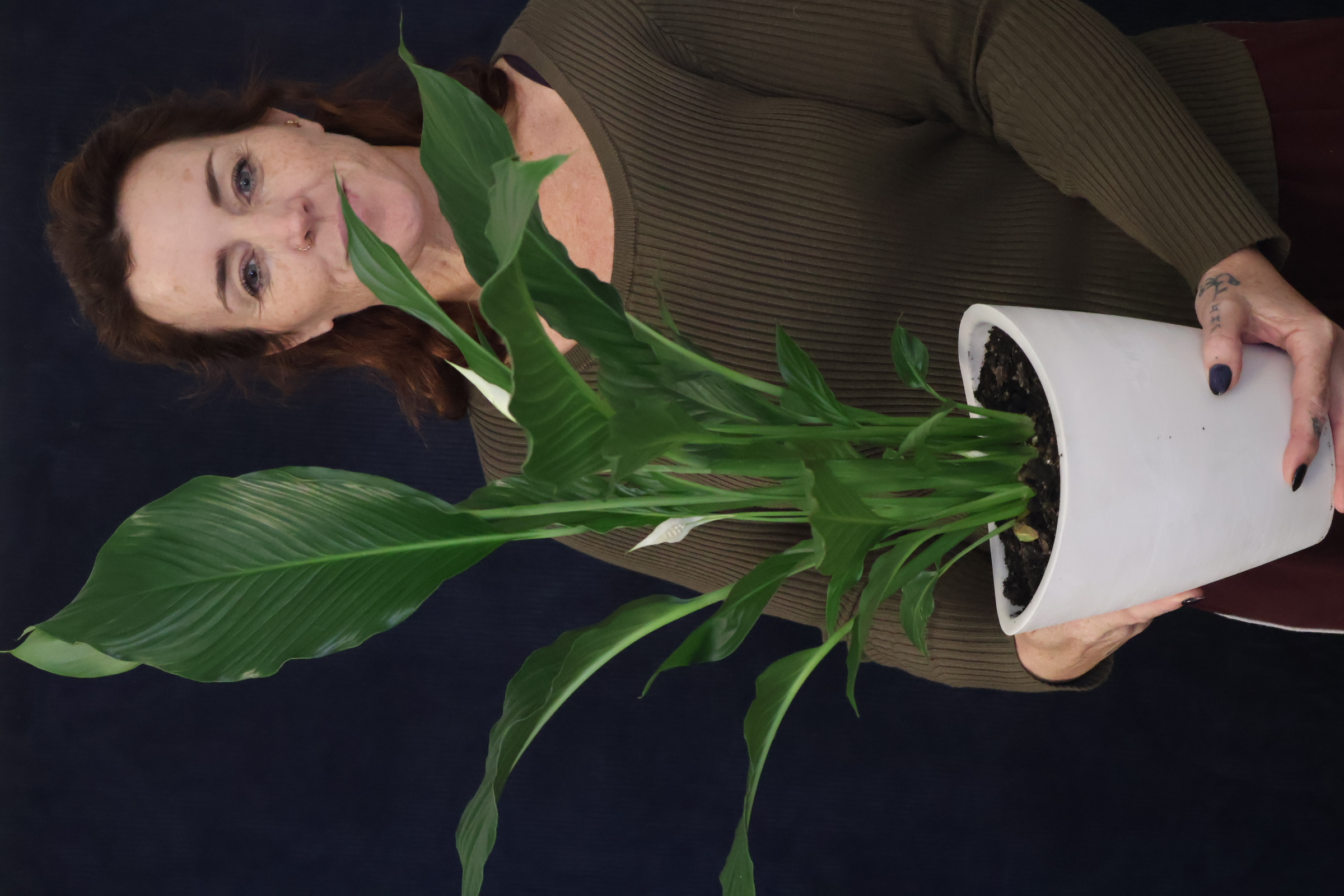 Real Plant | Peace Lily order made by Amy's Flowers