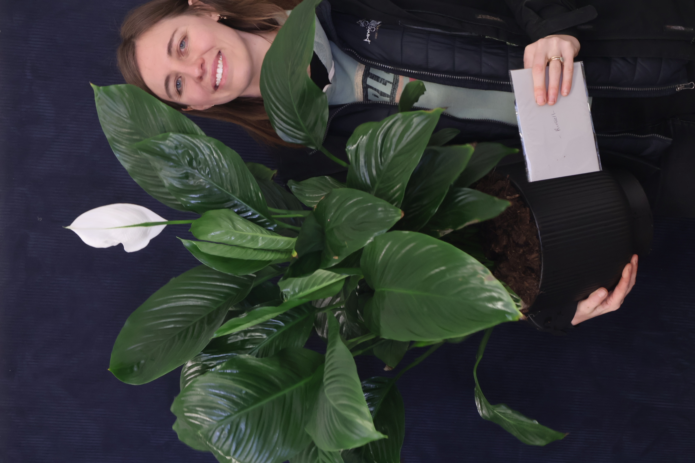 Real Plant | XXL Peace Lily order made by Amy's Flowers