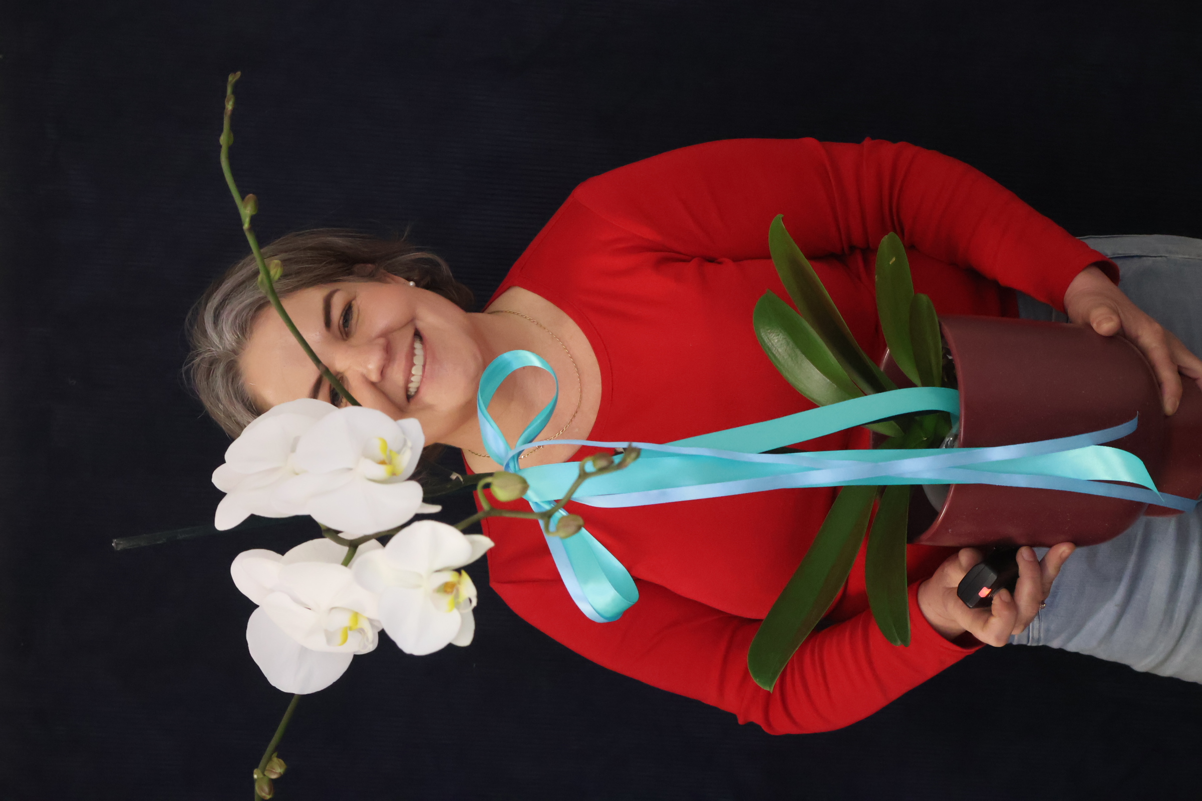 Real Plant | LUXE Phalae Orchid order made by Amy's Flowers