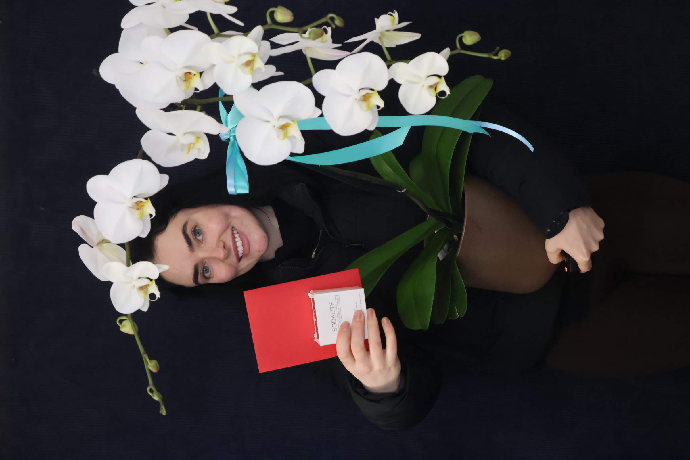 Real Plant | LUXE Phalae Orchid order made by Amy's Flowers