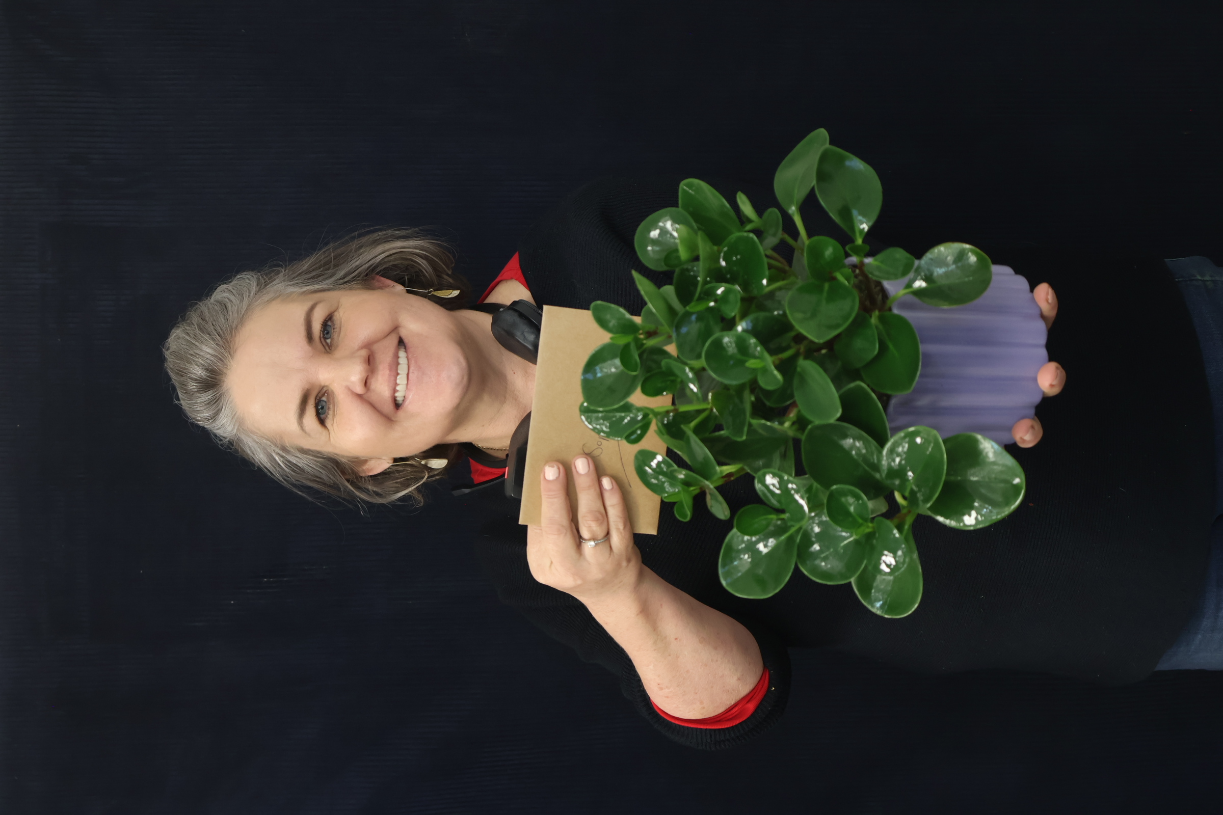 Recent Plant | Mixed Trailing, One Size order