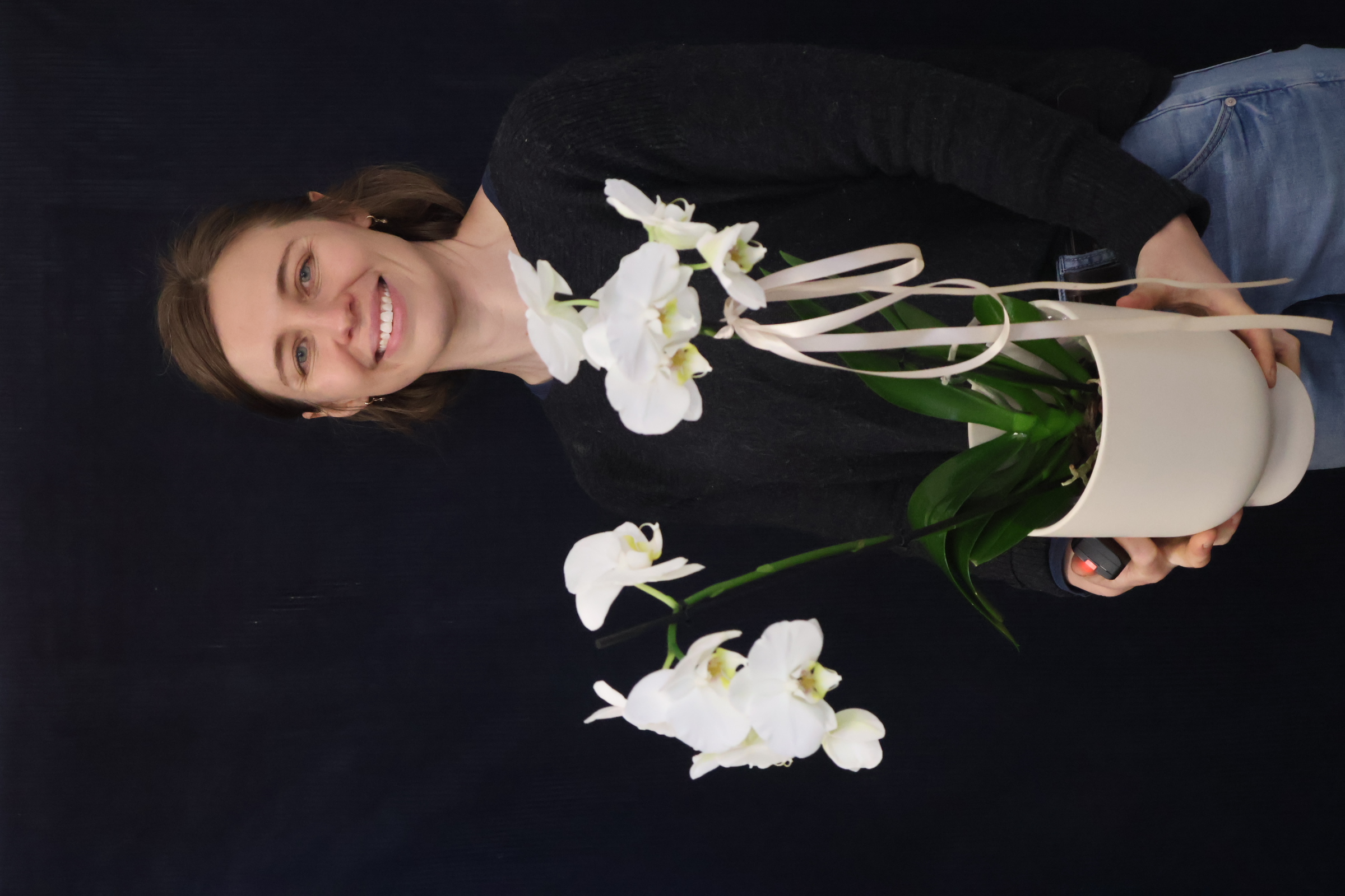 Real Plant | Phalae Orchid Standard order made by Amy's Flowers
