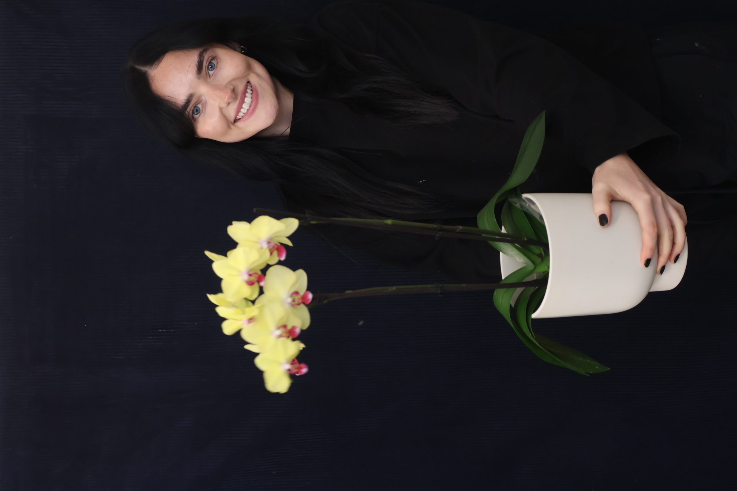 Real Plant | Phalae Orchid Standard order made by Amy's Flowers